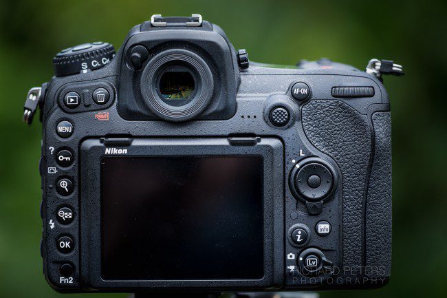 The Nikon D500 – Moving Pictures