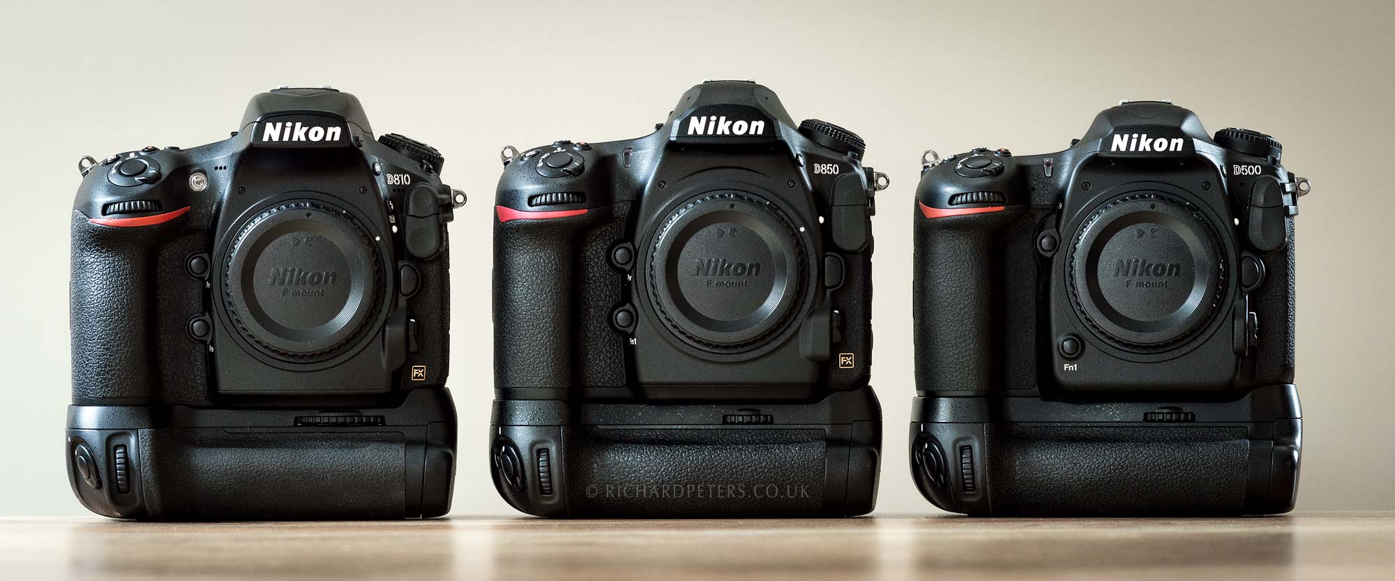 Nikon D850 review. The best wildlife photography camera ever made.